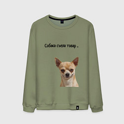 Свитшот хлопковый мужской Собака съела товар, цвет: авокадо