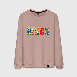 Мужской свитшот Надпись: BRICS