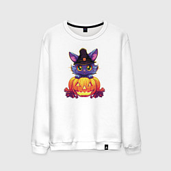Свитшот хлопковый мужской Милый котик и тыква - Хэллоуин, цвет: белый
