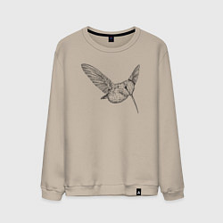 Свитшот хлопковый мужской Колибри пархает, цвет: миндальный