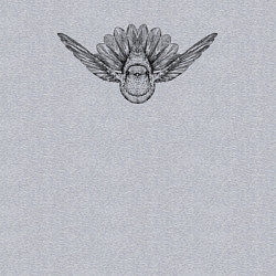 Свитшот хлопковый мужской Колибри анфас, цвет: меланж — фото 2