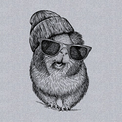 Свитшот хлопковый мужской Морская свинка модница, цвет: меланж — фото 2