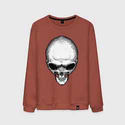 Свитшот хлопковый мужской Череп инопланетянина с большими глазами, цвет: кирпичный