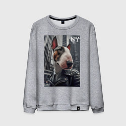 Мужской свитшот Dude bull terrier in New York - ai art