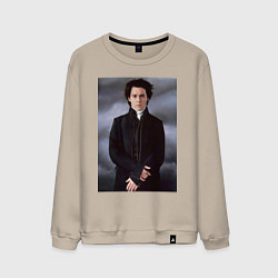 Мужской свитшот Икабот Крейн