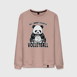 Мужской свитшот Panda volleyball