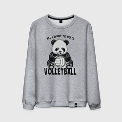 Мужской свитшот Panda volleyball