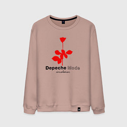 Свитшот хлопковый мужской Depeche Mode - Violator album logo, цвет: пыльно-розовый