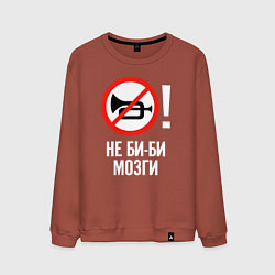 Мужской свитшот Не биби мозги
