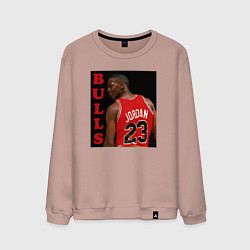 Мужской свитшот Bulls Jordan