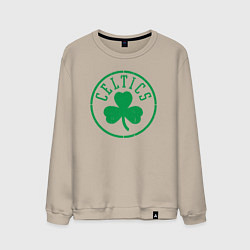 Мужской свитшот Boston Celtics clover