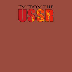 Свитшот хлопковый мужской Im from the USSR, цвет: кирпичный — фото 2