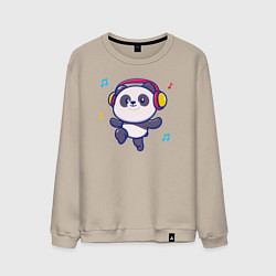 Мужской свитшот Music panda