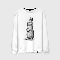 Свитшот хлопковый мужской Заяц стоит, цвет: белый