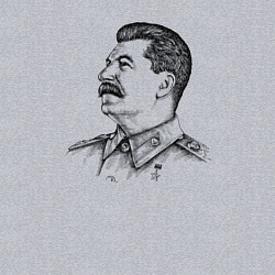 Свитшот хлопковый мужской Профиль Сталина, цвет: меланж — фото 2