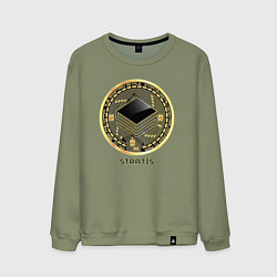 Свитшот хлопковый мужской STRATIS крипта, цвет: авокадо