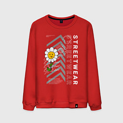 Мужской свитшот Ромашка streetwear