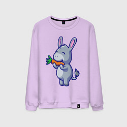 Мужской свитшот Ослик ест морковку