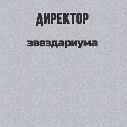 Свитшот хлопковый мужской Директор звездариума, цвет: меланж — фото 2
