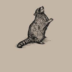 Свитшот хлопковый мужской Попрошайка енот, цвет: миндальный — фото 2