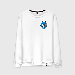 Мужской свитшот Cs go G2 arctic