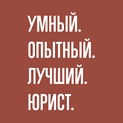 Свитшот хлопковый мужской Умный, опытный, лучший юрист, цвет: кирпичный — фото 2