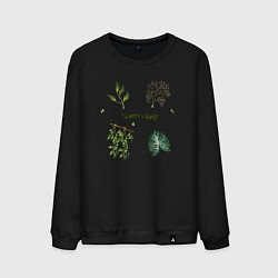 Свитшот хлопковый мужской The botanical world easy, цвет: черный