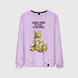 Мужской свитшот Санкции нас здесь не плохо кормят - котэ