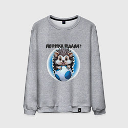 Мужской свитшот Ежик и футбольный мяч