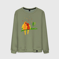 Свитшот хлопковый мужской Пара влюбленных попугаев на ветке, цвет: авокадо