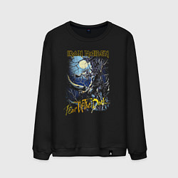 Мужской свитшот Iron Maiden Fear Of The Dark