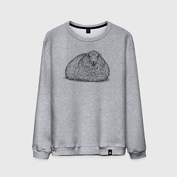 Мужской свитшот Овца лежит