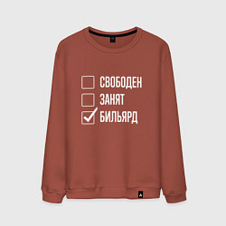 Мужской свитшот Свободен занят бильярд