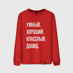 Свитшот хлопковый мужской Умный хороший классный Давид, цвет: красный