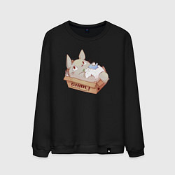 Мужской свитшот Ghibli Totoro