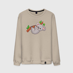 Свитшот хлопковый мужской Милая коала на ветке, цвет: миндальный