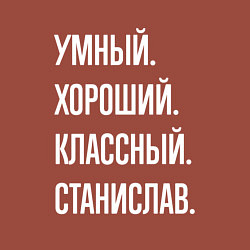 Свитшот хлопковый мужской Умный хороший классный Станислав, цвет: кирпичный — фото 2