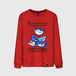 Мужской свитшот Только привыкаешь к хорошей жизни