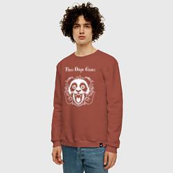 Свитшот хлопковый мужской Three Days Grace rock panda, цвет: кирпичный — фото 2