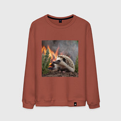 Свитшот хлопковый мужской Ёжик в огне, цвет: кирпичный