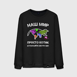 Свитшот хлопковый мужской Котик на карте, цвет: черный