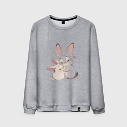Свитшот хлопковый мужской Зайки обнимайки, цвет: меланж
