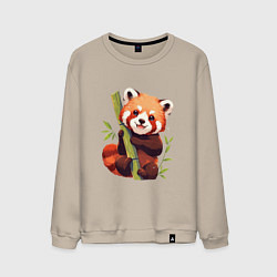 Мужской свитшот The Red Panda