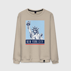 Мужской свитшот Style New York