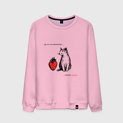 Свитшот хлопковый мужской Кот и сердце с надписью - что ты понимаешь, цвет: светло-розовый