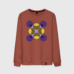 Свитшот хлопковый мужской Фигура из окружностей, цвет: кирпичный
