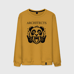 Свитшот хлопковый мужской Architects - rock panda, цвет: горчичный