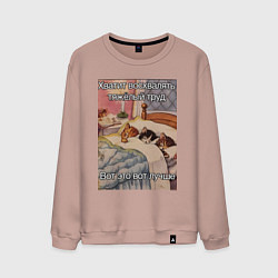 Мужской свитшот Спящие котики и труд мем