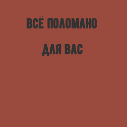 Свитшот хлопковый мужской Всё поломано для вас, цвет: кирпичный — фото 2