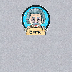 Свитшот хлопковый мужской Гениальный физик, цвет: меланж — фото 2
